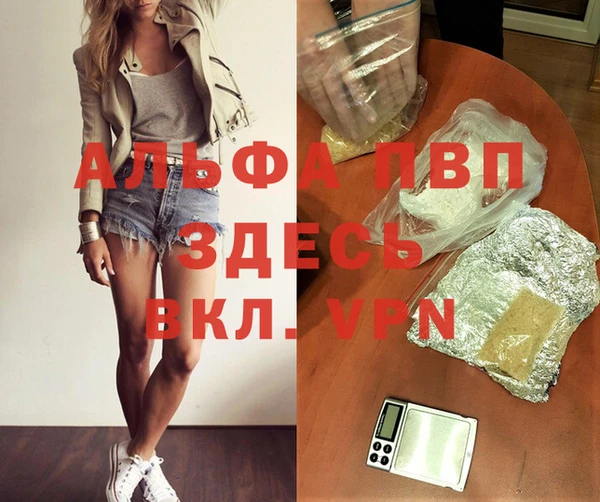 дмт Новодвинск
