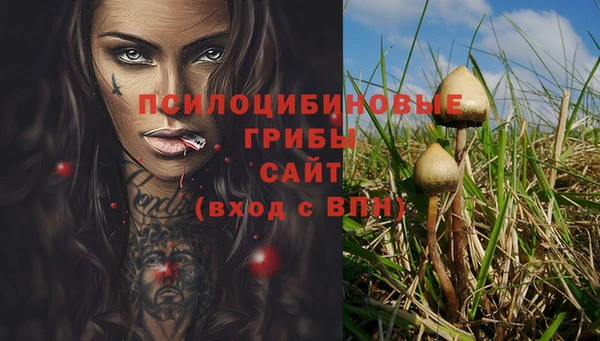 ALPHA PVP Карпинск