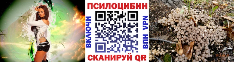 kraken ONION Медвежьегорск Псилоцибиновые грибы MAGIC MUSHROOMS закладка